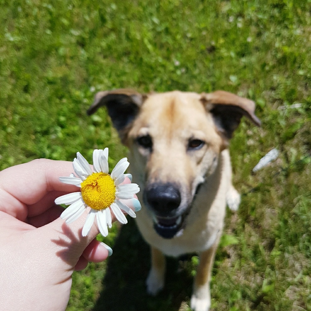 Meet your Posher, Rebecca